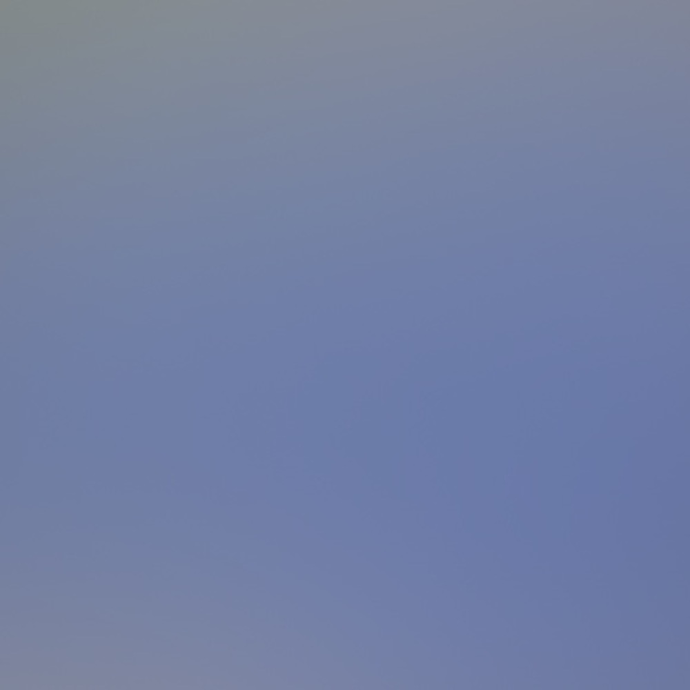 Meet your Posher, Mya